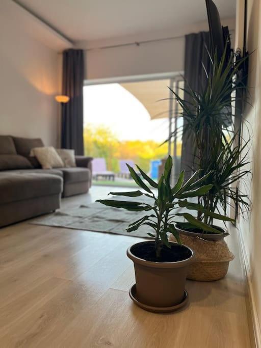 פארו Quinta Da Alfarrobeira Peaceful Countryside Stay מראה חיצוני תמונה