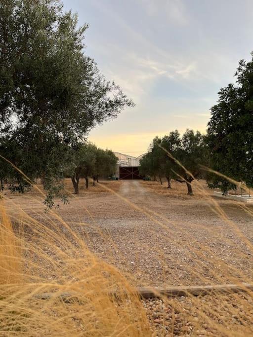 פארו Quinta Da Alfarrobeira Peaceful Countryside Stay מראה חיצוני תמונה