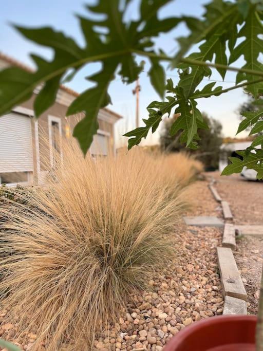 פארו Quinta Da Alfarrobeira Peaceful Countryside Stay מראה חיצוני תמונה