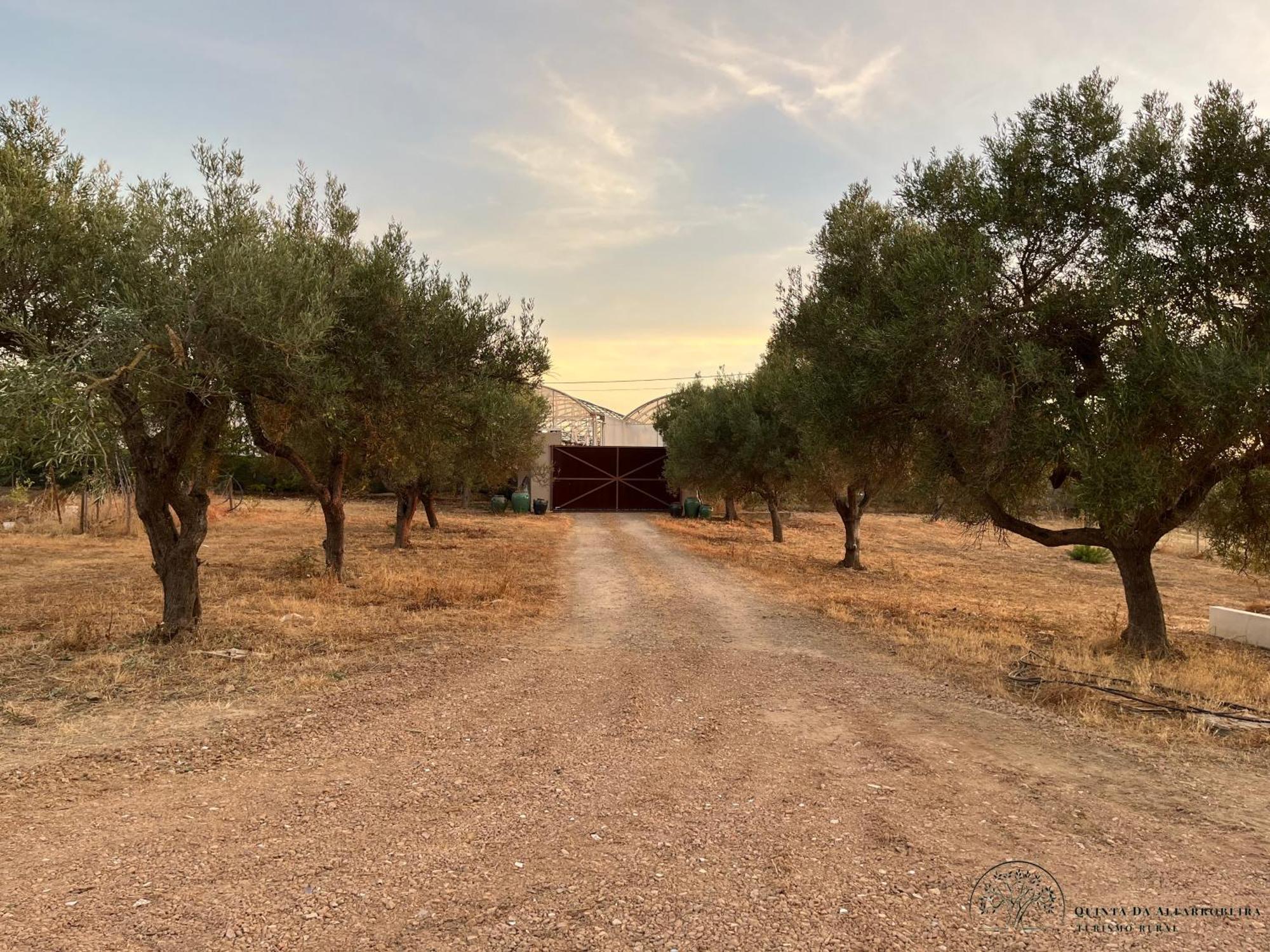 פארו Quinta Da Alfarrobeira Peaceful Countryside Stay מראה חיצוני תמונה